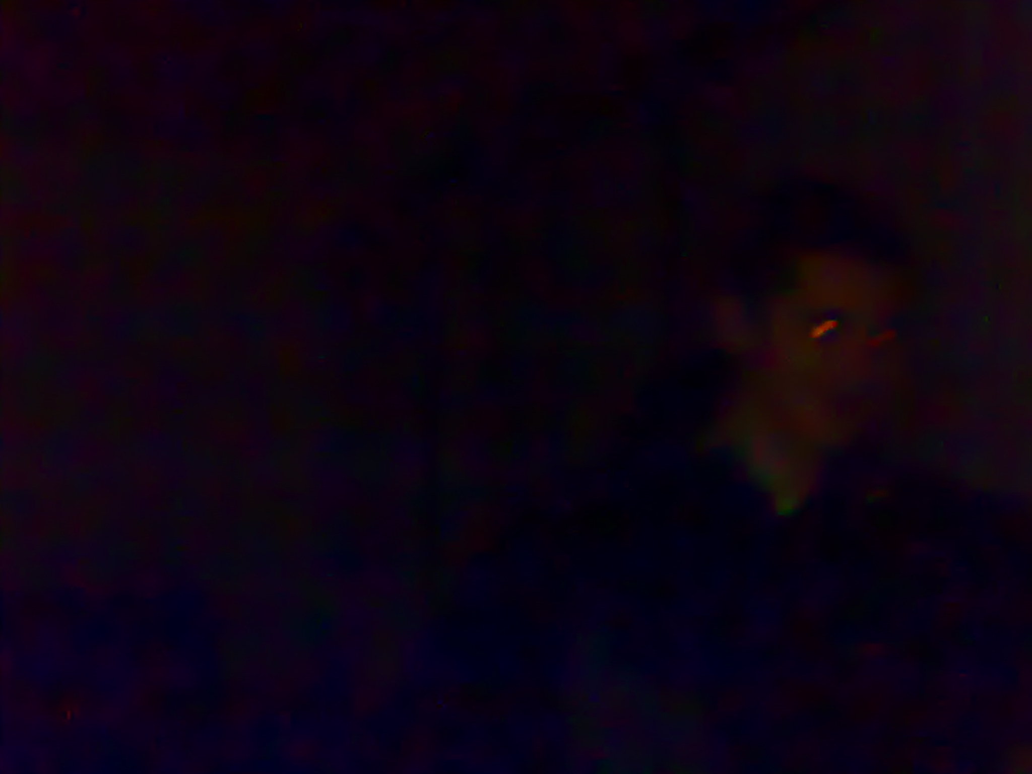 13122008434.jpg