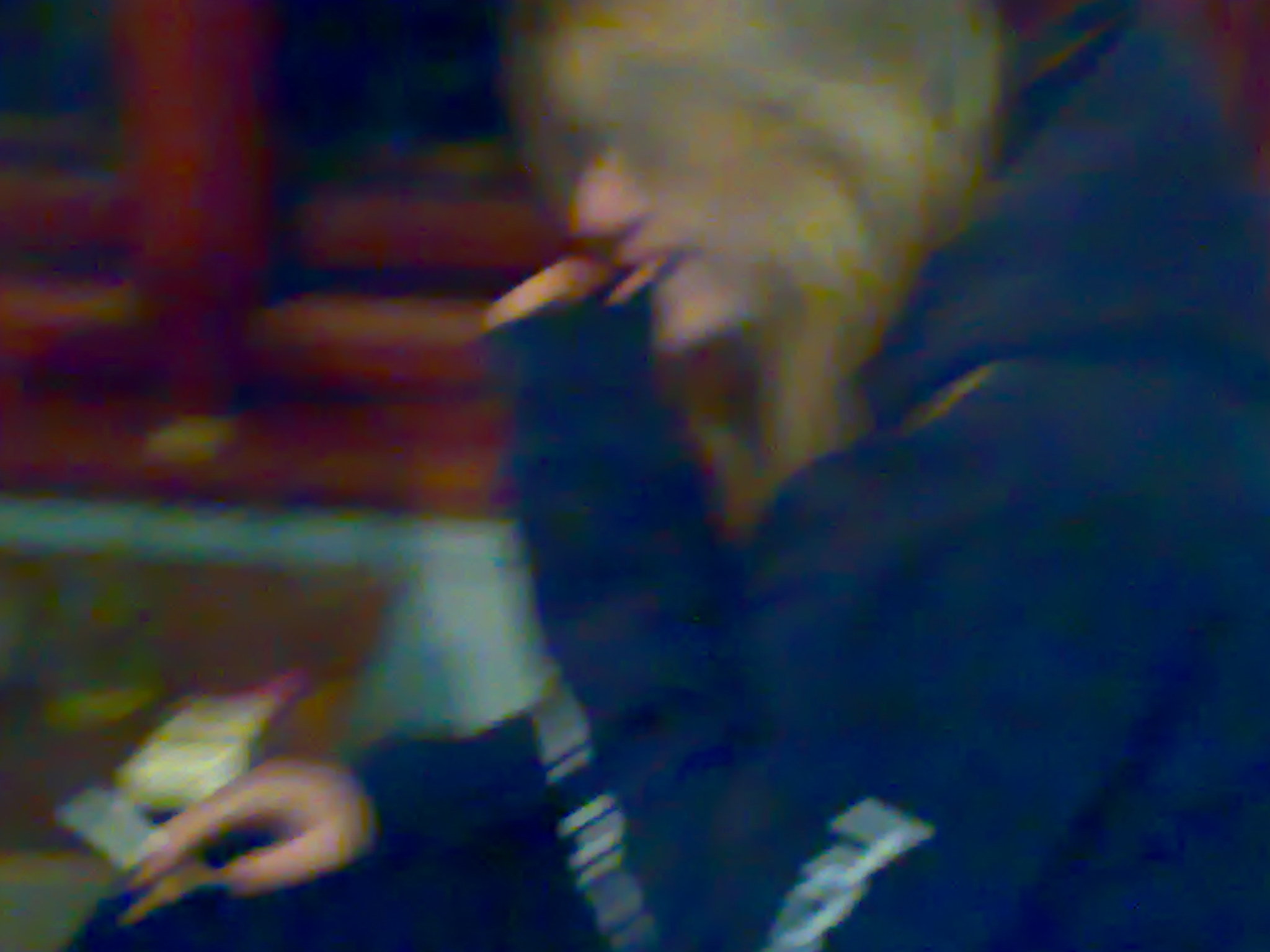 13122008439.jpg