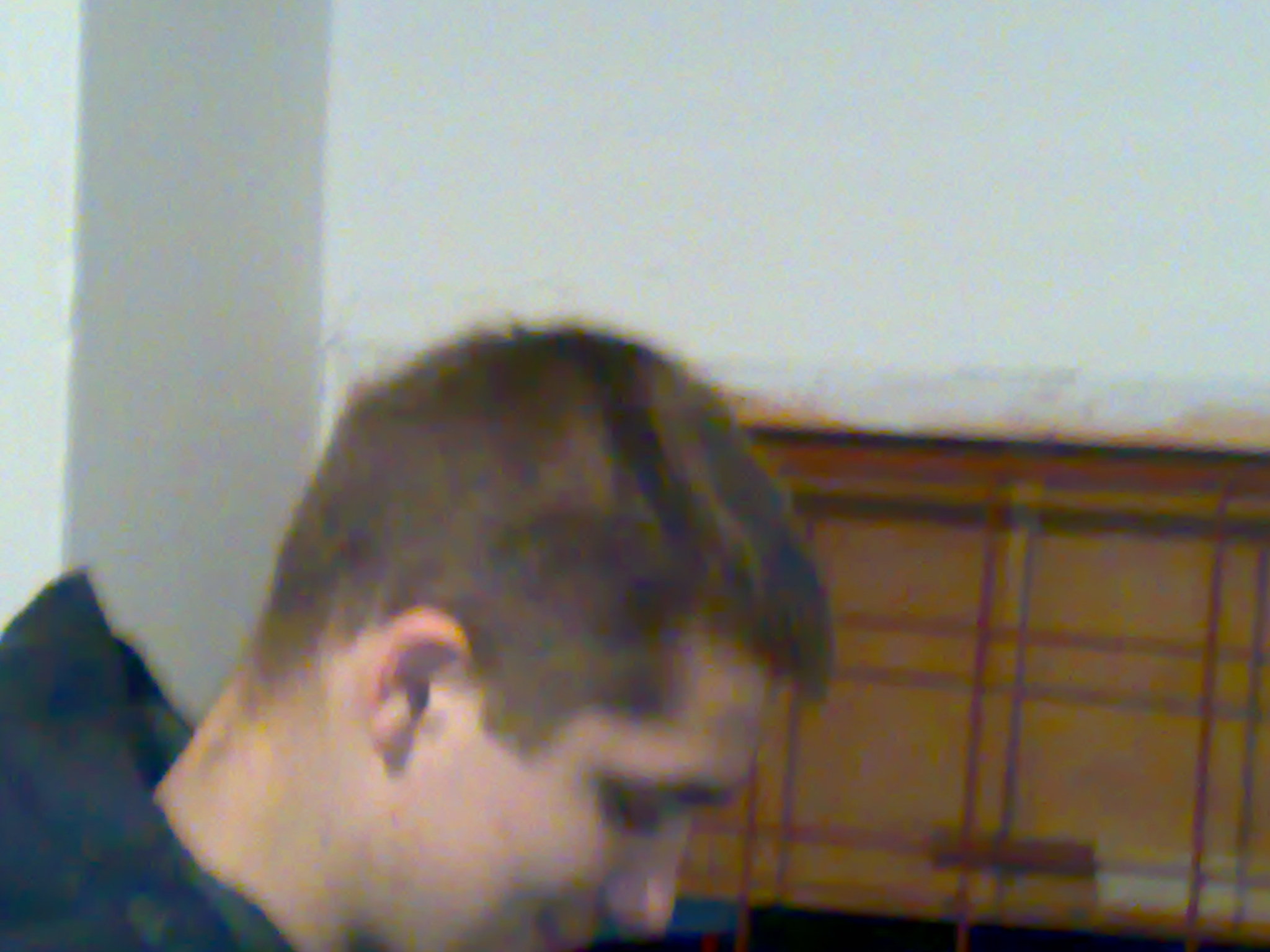 13122008441.jpg