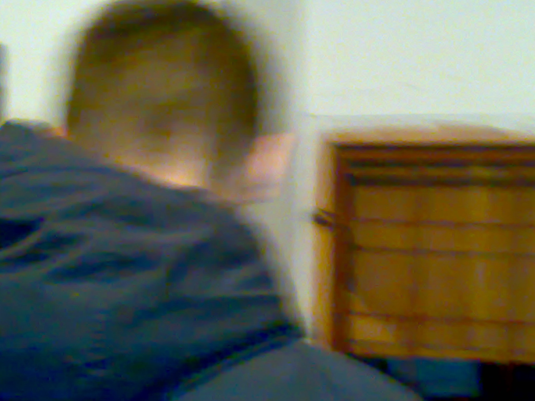13122008442.jpg
