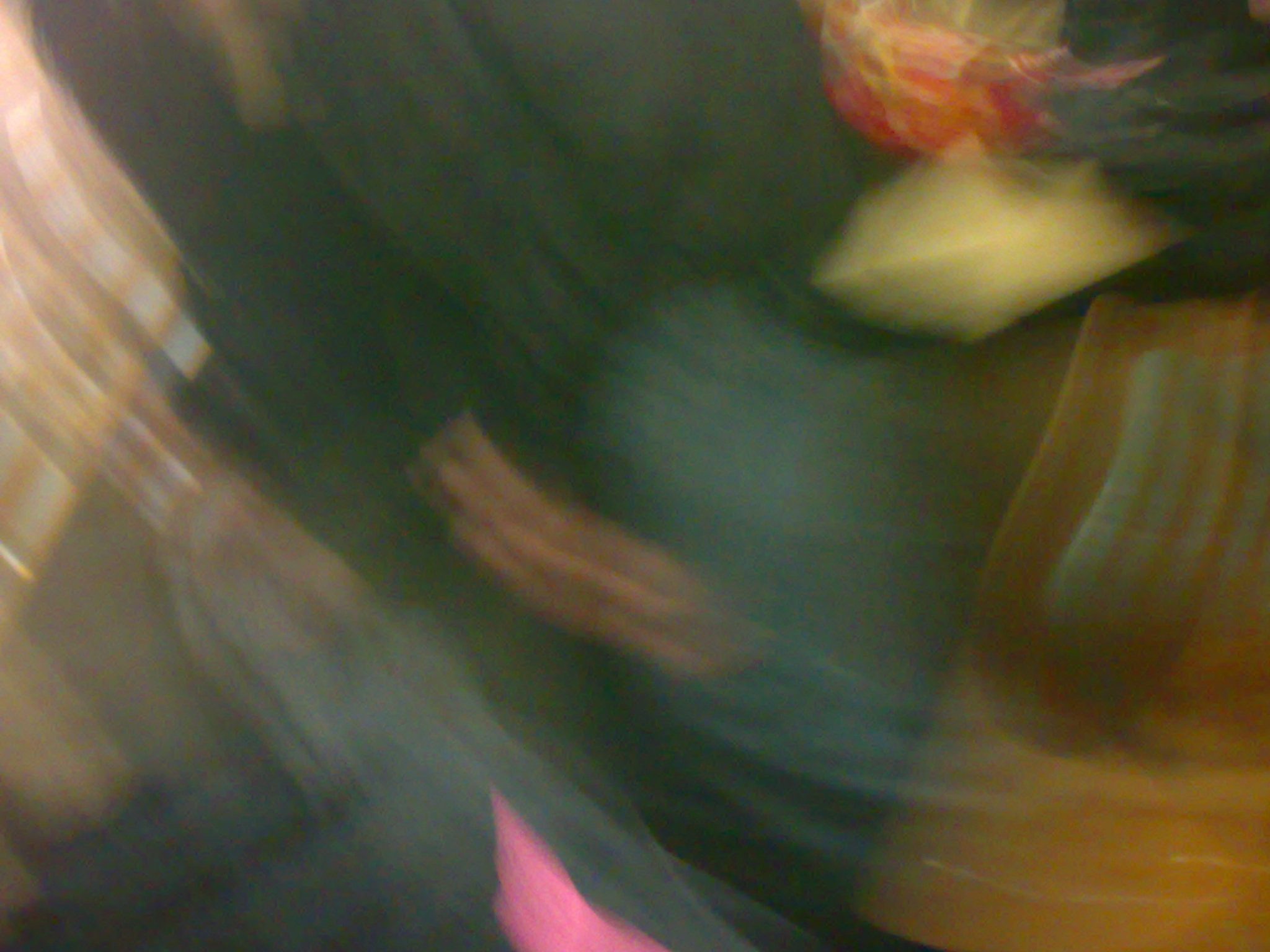 13122008474.jpg